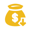 Income Icon